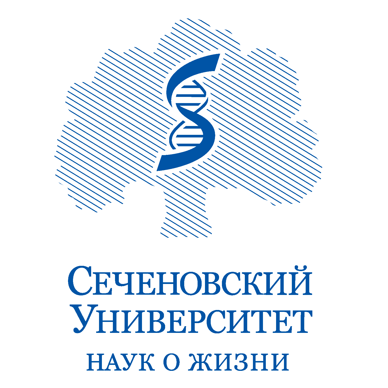 Первый Московский государственный медицинский университет имени  И. М. Сеченова Министерства здравоохранения Российской Федерации